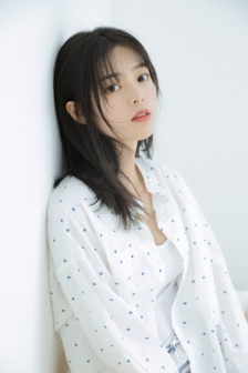 决战燕子门下载